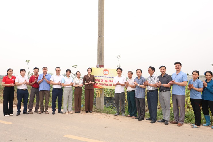 Vân Đình gắn biển công trình “Đường cây đại đoàn kết – hướng tới tương lai xanh”- Ảnh 1.