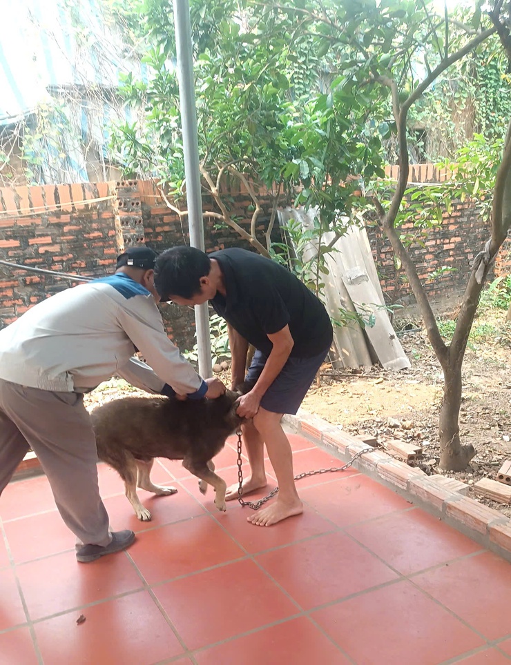 XÃ KIM ANH THỰC HIỆN TIÊM PHÒNG DỊCH BỆNH CHO ĐÀN GIA SÚC, GIA CẦM- Ảnh 3.