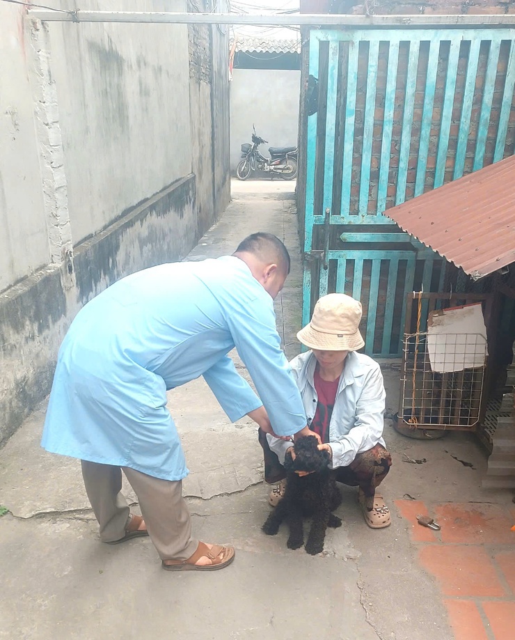 XÃ KIM ANH THỰC HIỆN TIÊM PHÒNG DỊCH BỆNH CHO ĐÀN GIA SÚC, GIA CẦM- Ảnh 4.