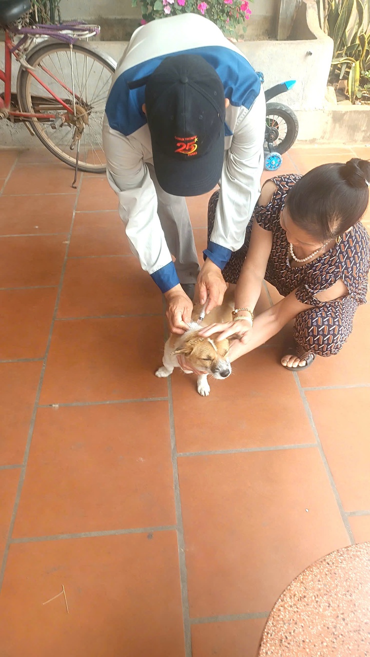 XÃ KIM ANH THỰC HIỆN TIÊM PHÒNG DỊCH BỆNH CHO ĐÀN GIA SÚC, GIA CẦM- Ảnh 5.