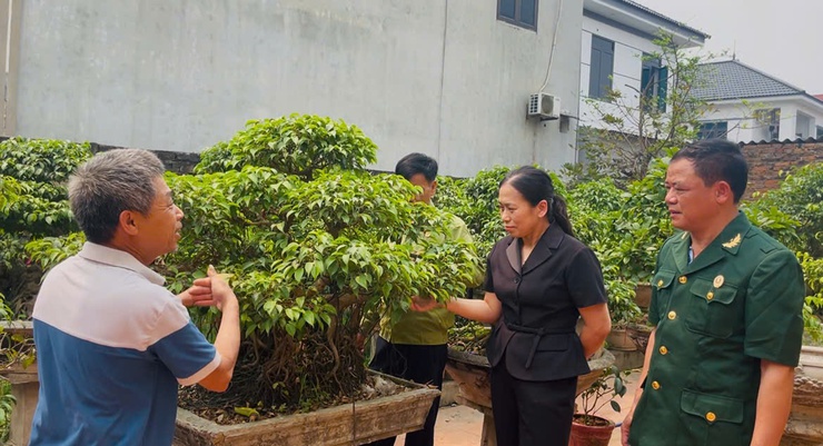 Lan tỏa mô hình kinh tế tiêu biểu của Chi hội CCB thôn Tích Giang 1- Ảnh 1.