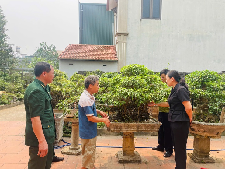 Lan tỏa mô hình kinh tế tiêu biểu của Chi hội CCB thôn Tích Giang 1- Ảnh 3.