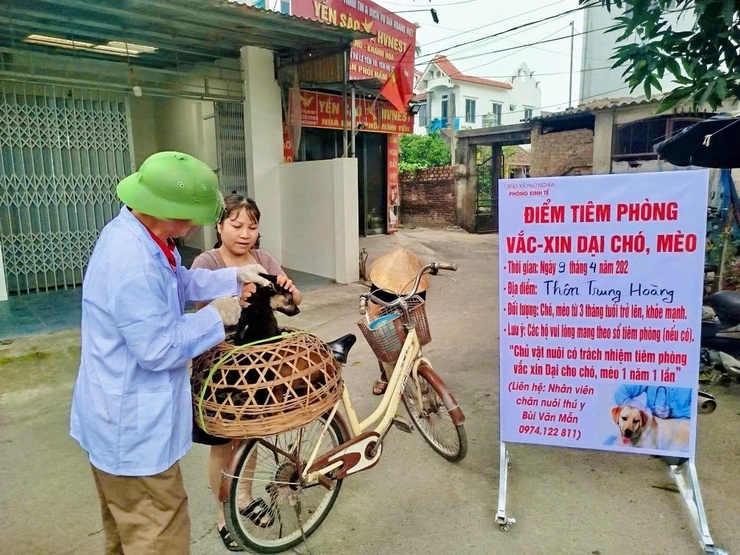 Phú Nghĩa triển khai tiêm phòng đại trà vắc xin cho đàn gia súc, gia cầm đợt 1 năm 2026- Ảnh 1.