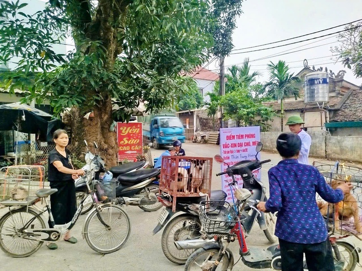 Phú Nghĩa triển khai tiêm phòng đại trà vắc xin cho đàn gia súc, gia cầm đợt 1 năm 2026- Ảnh 2.