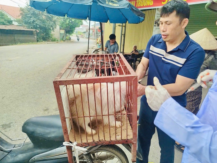 Phú Nghĩa triển khai tiêm phòng đại trà vắc xin cho đàn gia súc, gia cầm đợt 1 năm 2026- Ảnh 3.