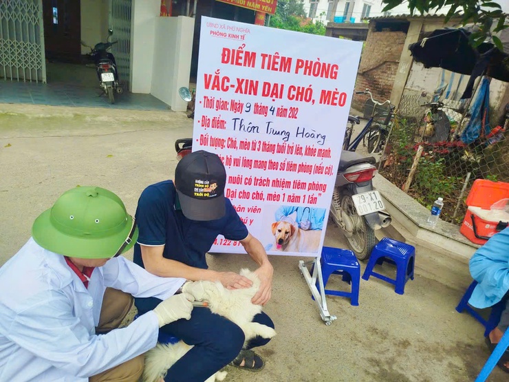 Phú Nghĩa triển khai tiêm phòng đại trà vắc xin cho đàn gia súc, gia cầm đợt 1 năm 2026- Ảnh 4.