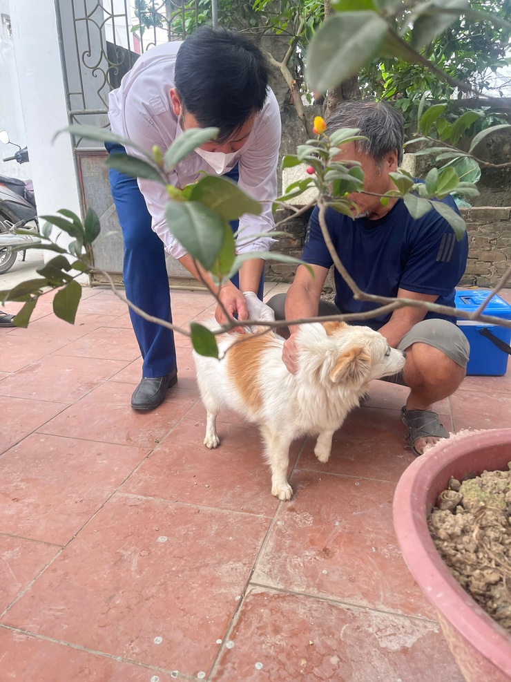 TRUNG TÂM DỊCH VỤ TỔNG HỢP TRIỂN KHAI TIÊM PHÒNG VẮC XIN DẠI CHO ĐÀN CHÓ, MÈO TRÊN ĐỊA BÀN XÃ ỨNG THIÊN ĐỢT I NĂM 2026- Ảnh 4.