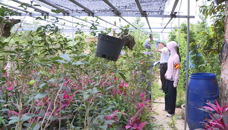 Phúc Thọ thực hiện cưỡng chế kiểm đếm bắt buộc phục vụ Dự án xây dựng HTKT đấu giá khu Lộc Xăm, xã Tích Giang- Ảnh 6.