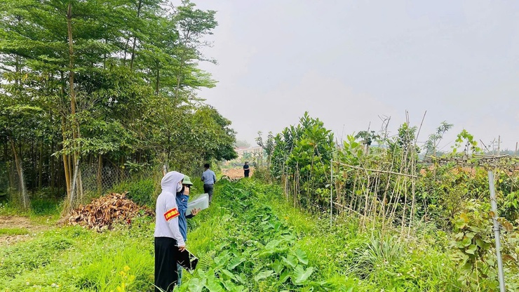 Phúc Thọ thực hiện cưỡng chế kiểm đếm bắt buộc phục vụ Dự án xây dựng HTKT đấu giá khu Lộc Xăm, xã Tích Giang- Ảnh 4.