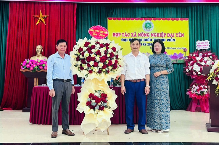 HTX Nông nghiệp Đại Yên tổ chức thành công Đại hội đại biểu thành viên nhiệm kỳ 2026–2031- Ảnh 1.