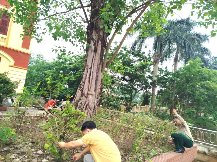Đại Xuyên sôi nổi ra quân vệ sinh môi trường chào mừng Đại hội đại biểu MTTQ Việt Nam lần thứ XI- Ảnh 3.