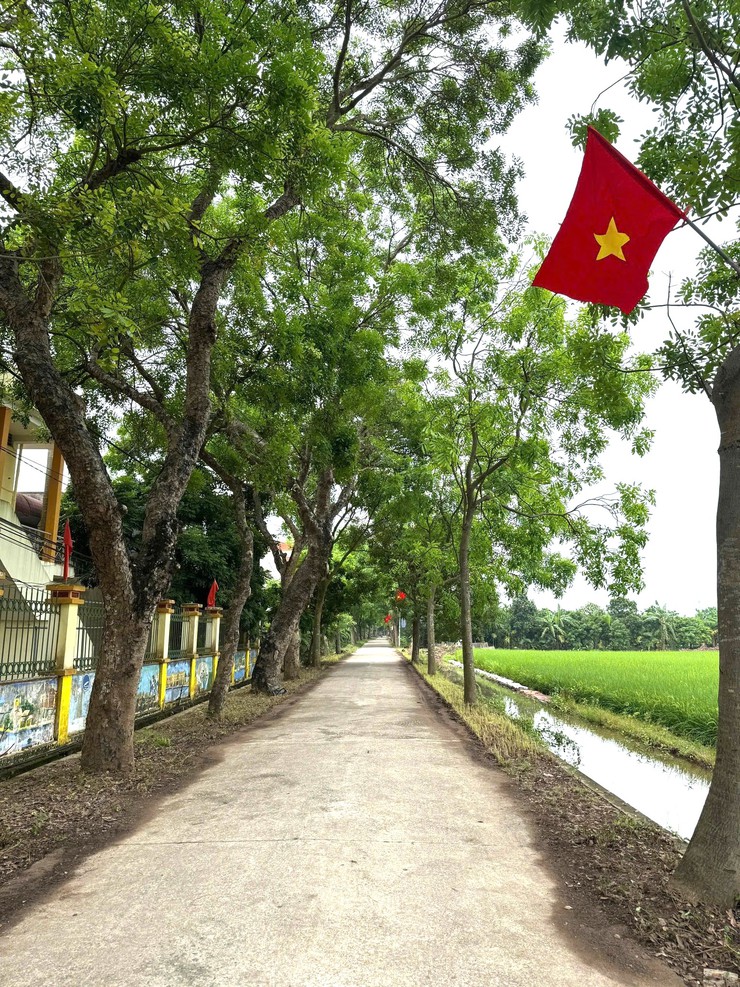 Đại Xuyên sôi nổi ra quân vệ sinh môi trường chào mừng Đại hội đại biểu MTTQ Việt Nam lần thứ XI- Ảnh 5.