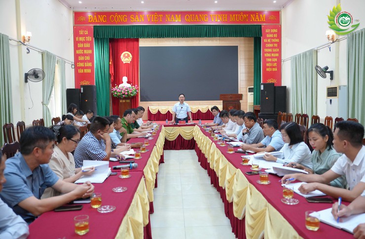 Phú Cát: Đánh giá kết quả tháng 4, tập trung cao độ thực hiện nhiệm vụ trọng tâm tháng 5/2026- Ảnh 1.