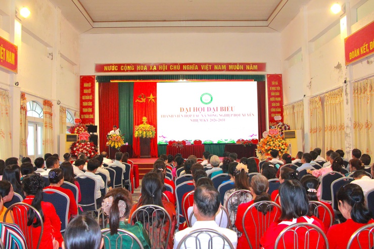 HTX Nông nghiệp Bột Xuyên tổ chức thành công Đại hội đại biểu thành viên nhiệm kỳ 2026 – 2031- Ảnh 1.