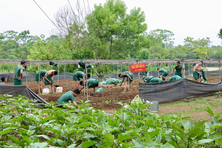 Đoàn công tác xã Thư Lâm thăm, động viên các chiến sĩ mới đang huấn luyện tại Trung đoàn 692, Sư đoàn Bộ binh 301, Bộ Tư lệnh Thủ đô Hà Nội- Ảnh 13.