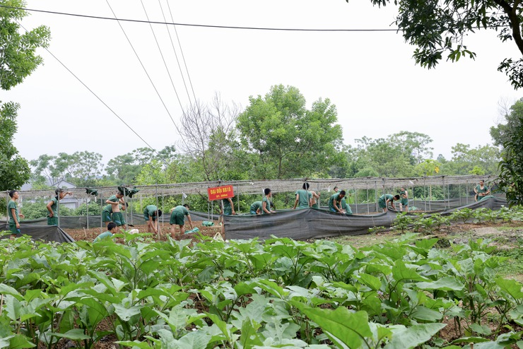 Đoàn công tác xã Thư Lâm thăm, động viên các chiến sĩ mới đang huấn luyện tại Trung đoàn 692, Sư đoàn Bộ binh 301, Bộ Tư lệnh Thủ đô Hà Nội- Ảnh 14.