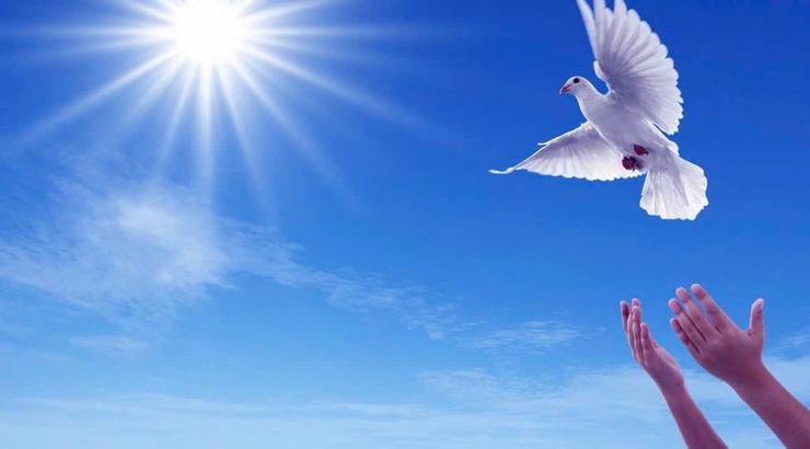 🕊️ TRÂN TRỌNG GIÁ TRỊ CỦA HÒA BÌNH 🕊️- Ảnh 2.