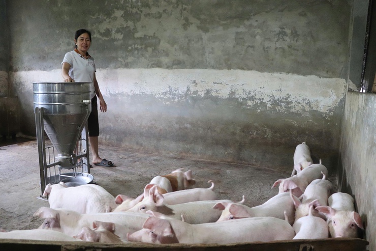Tấm gương sáng trong phát triển kinh tế và phong trào địa phương.- Ảnh 1.