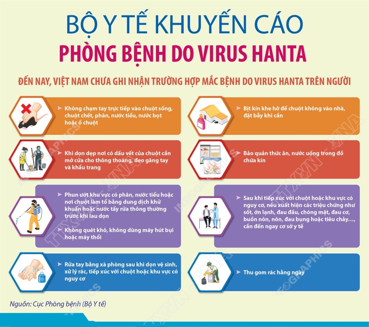 Thượng Phúc tăng cường giám sát, chủ động phòng chống bệnh do vi rút Hanta- Ảnh 1.