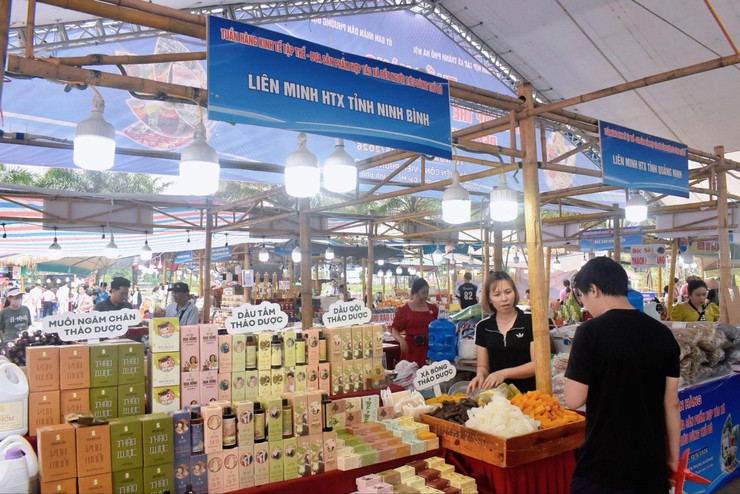 Sôi động “Tuần hàng Kinh tế tập thể - Đưa sản phẩm HTX đến người tiêu dùng Thủ đô năm 2026” tại Công viên Phùng Khoang- Ảnh 4.