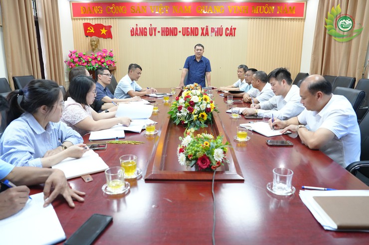 Phú Cát: Năng suất lúa vụ Xuân 2026 ước đạt 64 tạ/ha- Ảnh 1.