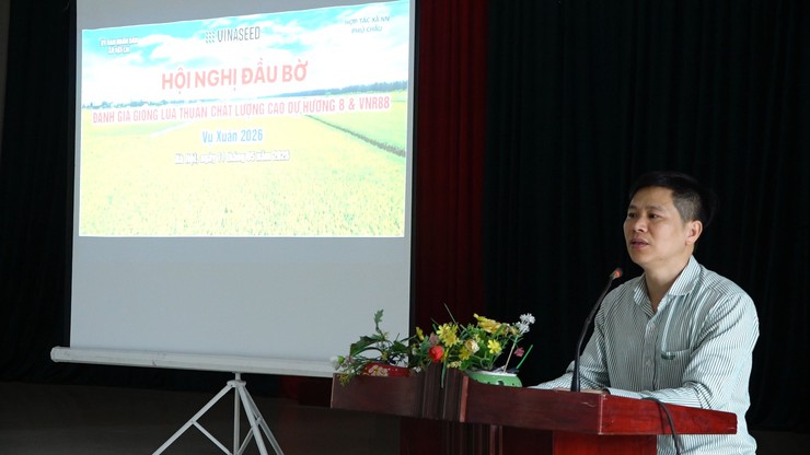 Hội nghị đầu bờ đánh giá giống lúa thuần chất lượng cao Dự Hương 8, VNR86 và VNR88- Ảnh 3.