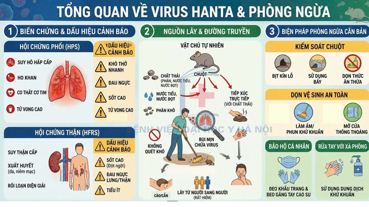 Tuyên truyền tổng quan về virus Hanta và cách phòng ngừa.- Ảnh 1.