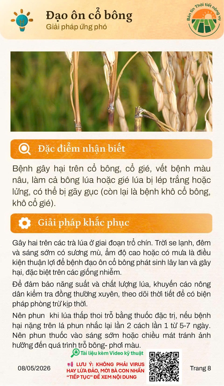 BẢN TIN THỜI TIẾT NÔNG VỤ THÁNG 5/2026 - Ảnh 8.