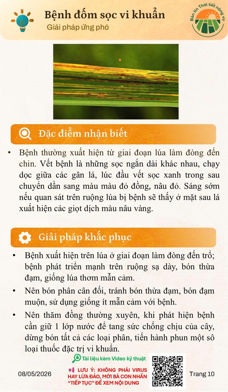 BẢN TIN THỜI TIẾT NÔNG VỤ THÁNG 5/2026 - Ảnh 10.