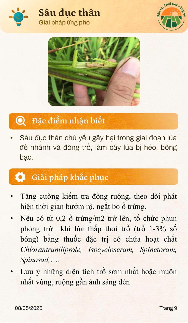 BẢN TIN THỜI TIẾT NÔNG VỤ THÁNG 5/2026 - Ảnh 9.