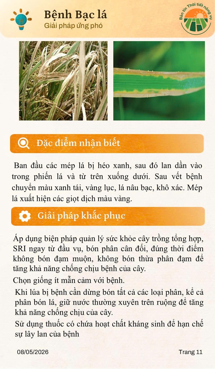 BẢN TIN THỜI TIẾT NÔNG VỤ THÁNG 5/2026 - Ảnh 11.
