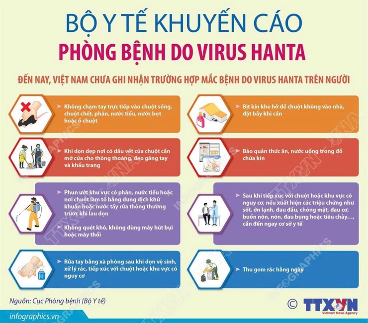 WHO ĐÁNH GIÁ NGUY CƠ LÂY LAN HANTAVIRUS RA CỘNG ĐỒNG Ở MỨC THẤP- Ảnh 1.