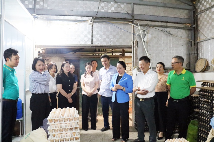 Hội Nông dân xã Quảng Bị: Đổi mới hoạt động, đồng hành cùng hội viên phát triển kinh tế- Ảnh 3.