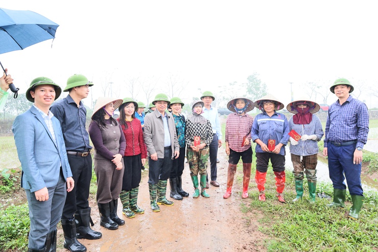 Hợp tác xã Nông nghiệp Hoàng Diệu: Nỗ lực đổi mới, nâng cao hiệu quả sản xuất nông nghiệp- Ảnh 5.