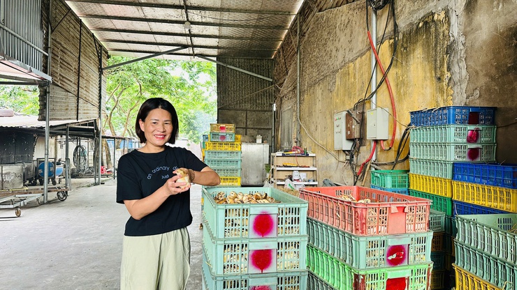TRANG TRẠI THÀNH ĐÔ – MÔ HÌNH CHĂN NUÔI GÀ HIỆU QUẢ TỪ TINH THẦN DÁM NGHĨ, DÁM LÀM- Ảnh 3.