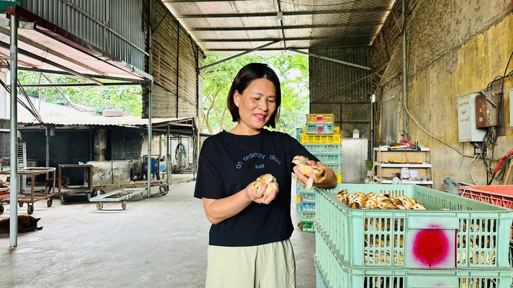 TRANG TRẠI THÀNH ĐÔ – MÔ HÌNH CHĂN NUÔI GÀ HIỆU QUẢ TỪ TINH THẦN DÁM NGHĨ, DÁM LÀM- Ảnh 4.