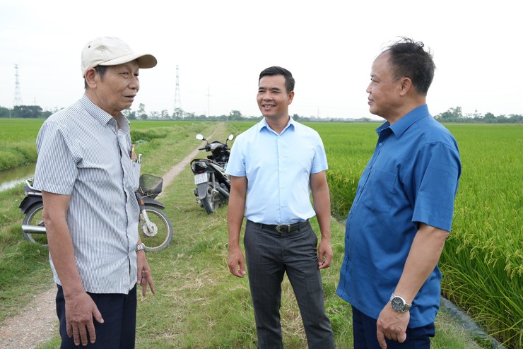 TRUNG TÂM DỊCH VỤ TỔNG HỢP XÃ THANH OAI PHỐI HỢP CHI CỤC TRỒNG TRỌT VÀ BẢO VỆ THỰC VẬT HÀ NỘI, HTX ĐỖ ĐỘNG KIỂM TRA, THĂM ĐỒNG VỤ XUÂN 2026- Ảnh 7.