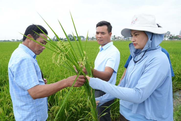 TRUNG TÂM DỊCH VỤ TỔNG HỢP XÃ THANH OAI PHỐI HỢP CHI CỤC TRỒNG TRỌT VÀ BẢO VỆ THỰC VẬT HÀ NỘI, HTX ĐỖ ĐỘNG KIỂM TRA, THĂM ĐỒNG VỤ XUÂN 2026- Ảnh 5.