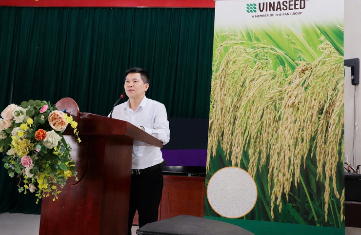Hội thảo đầu bờ đánh giá các giống lúa thuần chất lượng cao và ngô nếp vụ Xuân 2026- Ảnh 2.