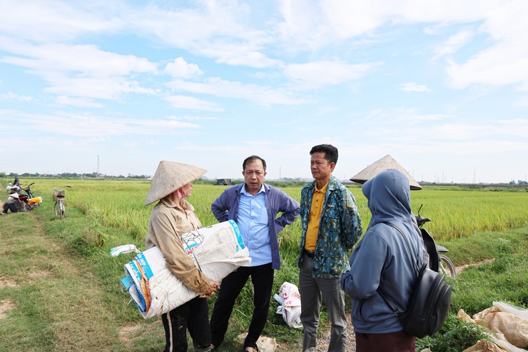 Nông dân xã Phú Nghĩa bắt đầu thu hoạch trà lúa Xuân sớm- Ảnh 6.