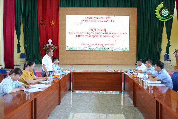 Phú Cát kiểm tra công tác lãnh đạo, chỉ đạo quản lý tài sản công tại Chi bộ Trung tâm Dịch vụ Tổng hợp- Ảnh 1.