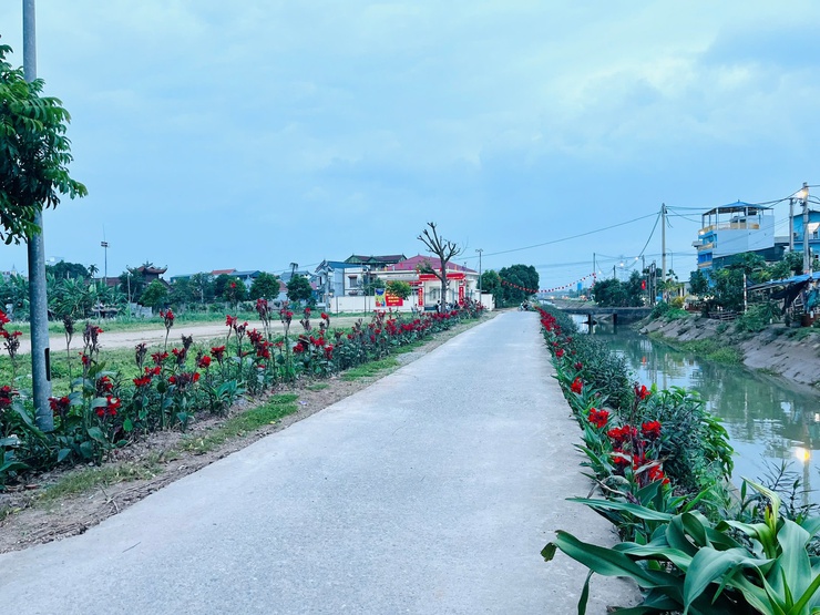 Cụ bà 82 tuổi âm thầm “dệt” sắc hoa trên đường quê- Ảnh 1.