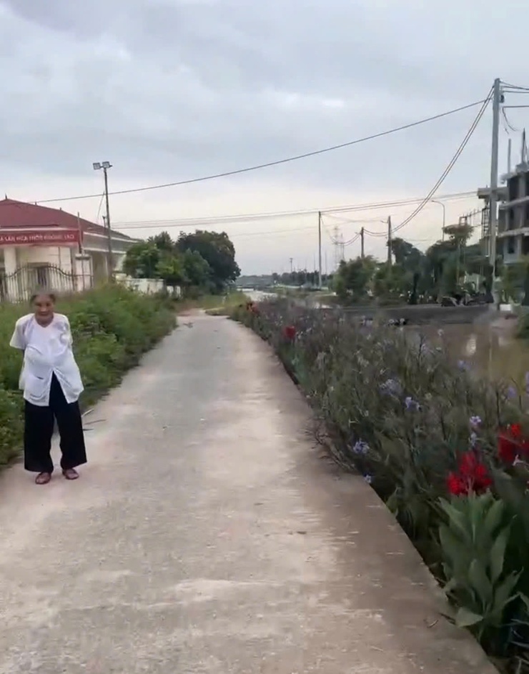 Cụ bà 82 tuổi âm thầm “dệt” sắc hoa trên đường quê- Ảnh 2.