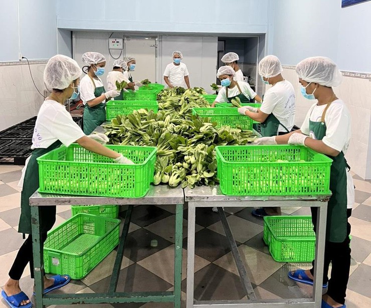 Quốc Oai tăng cường tuyên truyền an toàn thực phẩm trong sản xuất nông nghiệp- Ảnh 3.