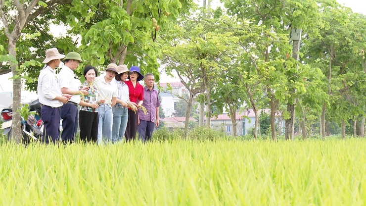 ỨNG HÒA TẬP TRUNG TRIỂN KHAI SẢN XUẤT VỤ MÙA 2026 VÀ CHỦ ĐỘNG PHÒNG CHỐNG THIÊN TAI.- Ảnh 3.