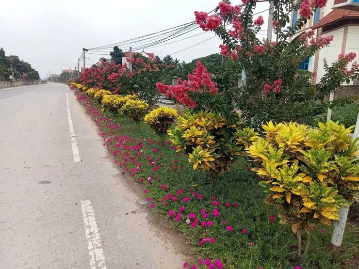 Khí thế thi đua lan tỏa ở thôn Vân Phúc 5 hướng tới kỷ niệm 136 năm Ngày sinh Chủ tịch Hồ Chí Minh và 1 năm thành lập xã Phúc Lộc- Ảnh 7.