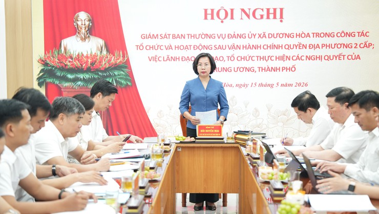 Đoàn giám sát số 7 của Ban Thường vụ Thành uỷ Hà Nội giám sát tại xã Dương Hoà về thực hiện các nhiệm vụ trọng tâm sau sáp nhập - Ảnh 10.