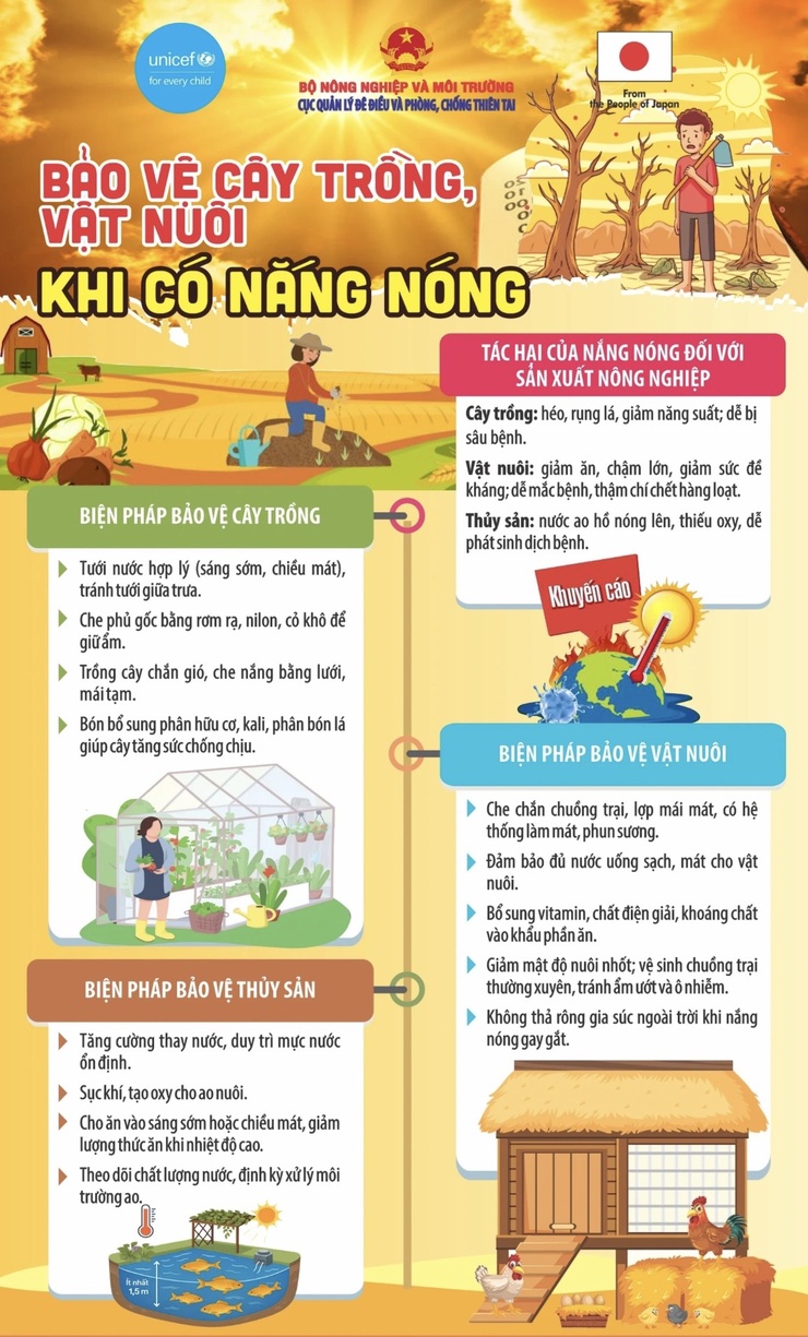 Trung tâm Dịch vụ tổng hợp xã Vĩnh Thanh ban hành hướng dẫn về các biện pháp bảo vệ cây trồng, vật nuôi trong điều kiện nắng nóng- Ảnh 1.