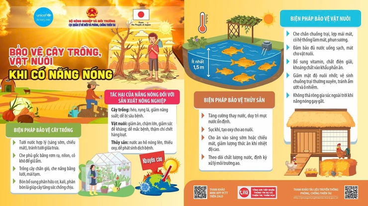 Nắng nóng - những điều cần biết và biện pháp phòng tránh- Ảnh 2.