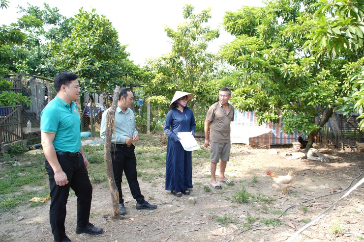 Tăng cường công tác kiểm tra sau giải ngân vốn vay quỹ hỗ trợ nông dân Thành phố Hà Nội- Ảnh 4.
